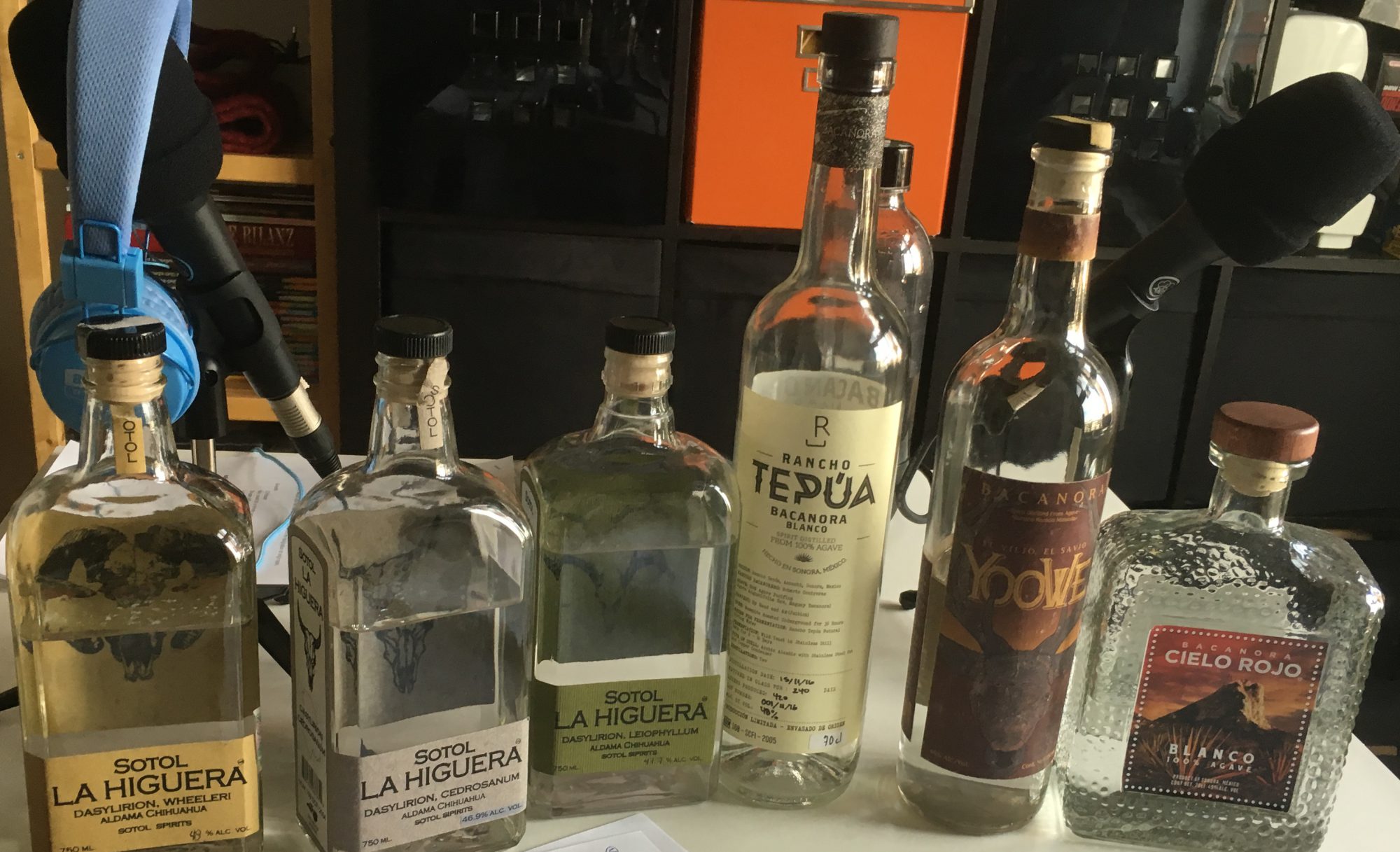 Elixir of the gods a show about agave culture