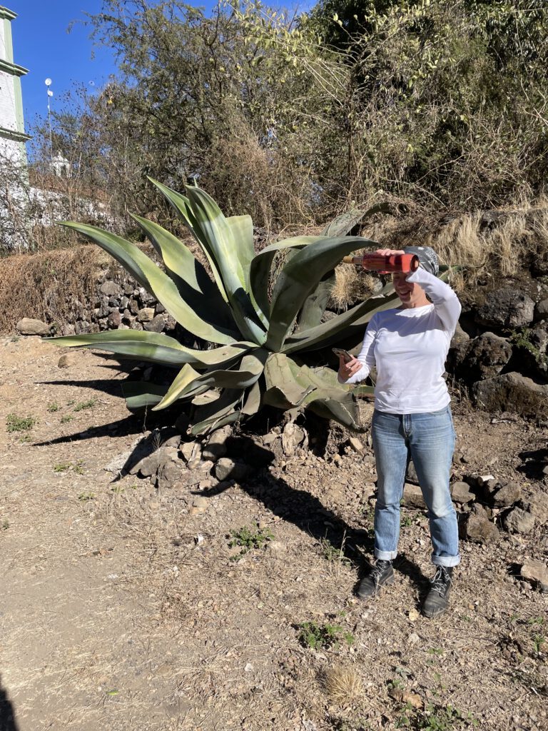 Cate and Agave Valenciana